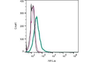 Cell surface detection of Piezo1 by direct flow cytometry in live intact mouse J774 macrophage cells: + Rabbit IgG Isotype Control-FITC (ABIN7582044).