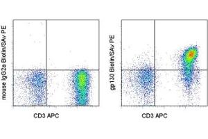 Image no. 1 for anti-Interleukin 6 Signal Transducer (Gp130, Oncostatin M Receptor) (IL6ST) antibody (Biotin) (ABIN474449)