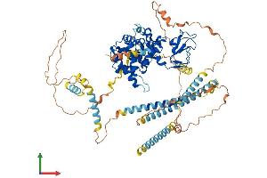 Protein Structure (PS) image for Dystrobrevin alpha (DTNA) (AA 1-746) protein (His tag) (ABIN7560920)