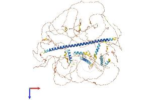 AlphaFold protein structure predicition of Mouse Recombinant Nckap5l Protein, UniprotID Q6GQX2