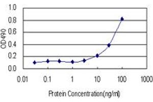Sandwich ELISA detection sensitivity ranging from 3 ng/mL to 100 ng/mL. (LIPG (人) Matched Antibody Pair)