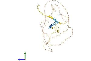 AlphaFold protein structure predicition of Human Recombinant SDC3 Protein, UniprotID O75056