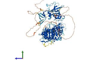 Protein Structure (PS) image for Cylindromatosis (Turban Tumor Syndrome) (CYLD) (AA 1-952) protein (His tag) (ABIN7564239)