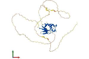 AlphaFold protein structure predicition of Human Recombinant IRF2 Protein, UniprotID P14316
