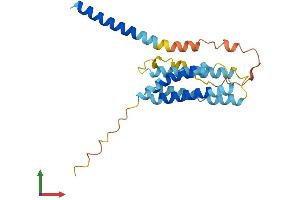 Protein Structure (PS) image for Transmembrane Protein 98 (TMEM98) (AA 1-226) protein (His tag) (ABIN7560075)