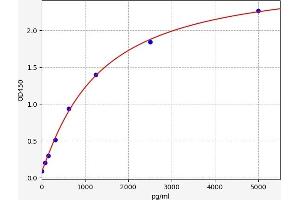 Typical standard curve (Soluble Interleukin 2a Receptor ELISA 试剂盒)