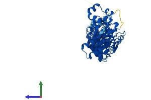 Protein Structure (PS) image for Ankyrin Repeat and SOCS Box Containing 4 (ASB4) (AA 1-426) protein (His tag) (ABIN7552429)