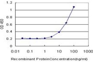Detection limit for recombinant GST tagged CAMK2A is approximately 1ng/ml as a capture antibody. (CAMK2A 抗体  (AA 305-410))
