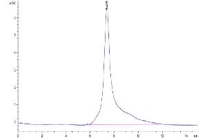 Size-exclusion chromatography-High Pressure Liquid Chromatography (SEC-HPLC) image for Selectin P Ligand (SELPLG) (AA 34-356) protein (His tag) (ABIN7275485)