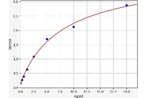Typical standard curve (NPY5R ELISA 试剂盒)