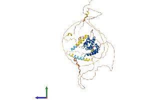 Protein Structure (PS) image for Clathrin Interactor 1 (CLINT1) (AA 1-631) protein (His tag) (ABIN7560344)