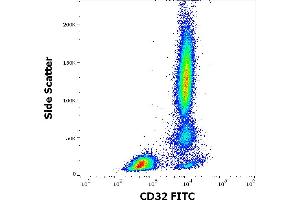 Flow cytometry surface staining pattern of human peripheral whole blood stained using anti-human CD32 (3D3) FITC antibody (4 μL reagent / 100 μL of peripheral whole blood). (Fc gamma RII (CD32) 抗体 (FITC))