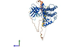 Protein Structure (PS) image for Casein Kinase 1, epsilon (CSNK1E) (AA 1-416) protein (His tag) (ABIN7548806)