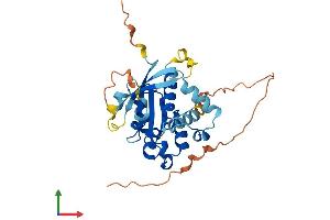 Protein Structure (PS) image for RAB40C, Member RAS Oncogene Family (RAB40C) (AA 1-281) protein (His tag) (ABIN7559930)