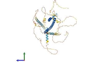 Protein Structure (PS) image for Microphthalmia-Associated Transcription Factor (MITF) (AA 1-526) protein (His tag) (ABIN7563614)