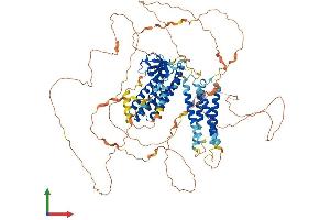 Protein Structure (PS) image for Breast Cancer Anti-Estrogen Resistance 1 (BCAR1) (AA 1-874) protein (His tag) (ABIN7563900)