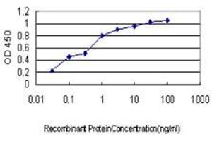 Detection limit for recombinant GST tagged CDSN is approximately 0. (Corneodesmosin 抗体  (AA 306-355))