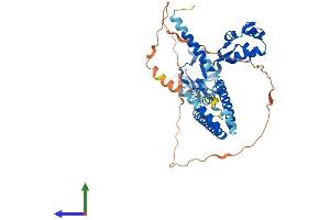 Protein Structure (PS) image for SWI/SNF Related, Matrix Associated, Actin Dependent Regulator of Chromatin, Subfamily D, Member 1 (SMARCD1) (AA 1-515) protein (His tag) (ABIN7555539)