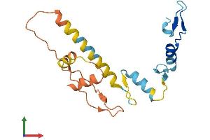 AlphaFold protein structure predicition of Human Recombinant ZNF542P Protein, UniprotID Q5EBM4