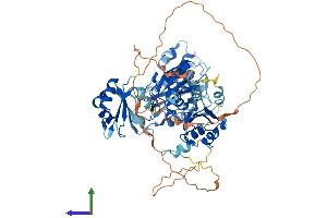 Protein Structure (PS) image for Epithelial Splicing Regulatory Protein 1 (ESRP1) (AA 1-681) protein (His tag) (ABIN7553858)