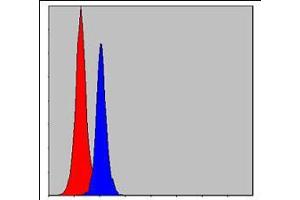 Flow cytometric analysis of MCF-7 cells using CEBPB mouse mAb (blue) and negative control (red). (CEBPB 抗体)
