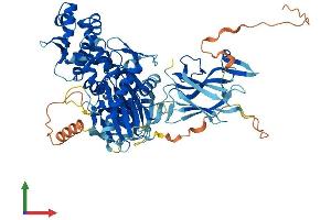Protein Structure (PS) image for Heat Shock 70kD Protein 12B (HSPA12B) (AA 1-686) protein (His tag) (ABIN7548323)