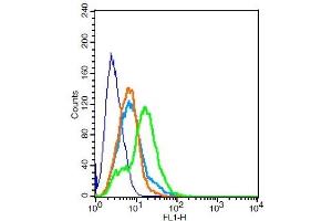 RSC96 cells probed with NMUR1/GPR66 Polyclonal Antibody, Unconjugated  at 1:100 for 30 minutes followed by incubation with a conjugated secondary -FITC) (green) for 30 minutes compared to control cells (blue), secondary only (light blue) and isotype control (orange). (NMUR1 抗体  (AA 31-80))