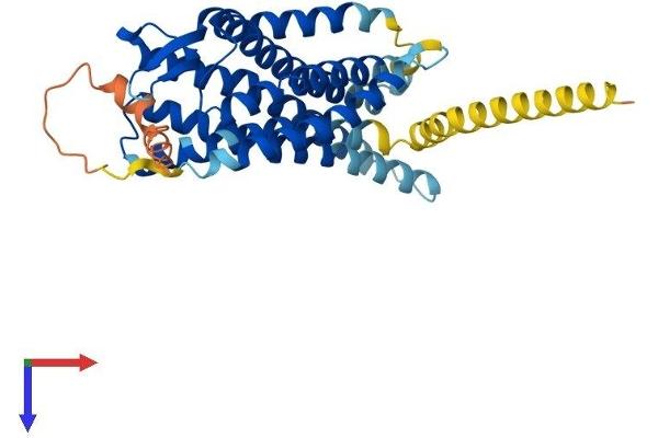 Angiotensin II Type 2 Receptor Protein (AA 1-363) (His tag)