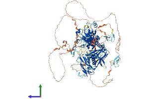 Protein Structure (PS) image for Small Optic Lobes Homolog (SOLH) (AA 1-1095) protein (His tag) (ABIN7565115)