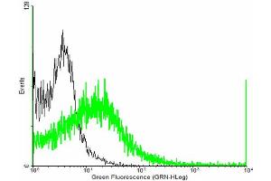 FACS analysis of negative control 293 cells (Black) and RGS7 expressing 293 cells (Green) using RGS7 purified MaxPab mouse polyclonal antibody. (RGS7 抗体  (AA 1-487))