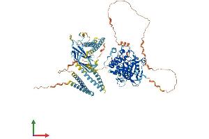 AlphaFold protein structure predicition of Human Recombinant PKN3 Protein, UniprotID Q6P5Z2