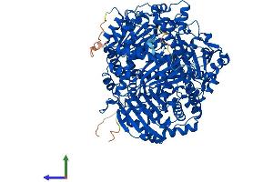 AlphaFold protein structure predicition of Human Recombinant IDE Protein, UniprotID P14735