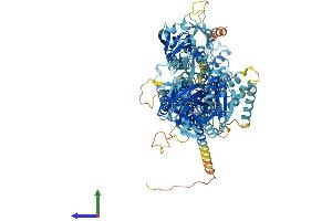 Protein Structure (PS) image for ATPase, class VI, type 11C (ATP11C) (AA 1-1129) protein (His tag) (ABIN7565171)