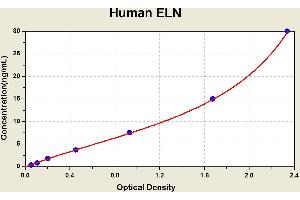 Elastin (ELN) ELISA Kit