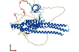Protein Structure (PS) image for Sorting Nexin 18 (SNX18) (AA 1-614) protein (His tag) (ABIN7564834)