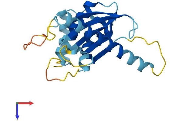 Adaptor-Related Protein Complex 5, sigma 1 Subunit (AP5S1) (AA 1-200) protein (His tag)