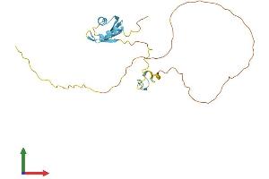 AlphaFold protein structure predicition of Human Recombinant SRSF7 Protein, UniprotID Q16629