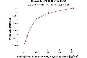 ELISA image for Colony Stimulating Factor 1 Receptor (CSF1R) (AA 20-512) protein (His tag) (ABIN2180910)