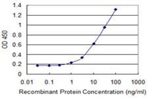 Detection limit for recombinant GST tagged ZNF165 is 0. (ZNF165 抗体  (AA 1-485))