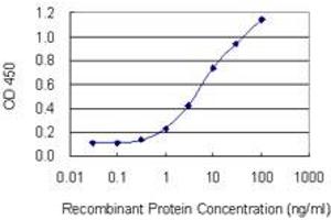Detection limit for recombinant GST tagged KIRREL3 is 0. (KIRREL3 抗体  (AA 679-778))