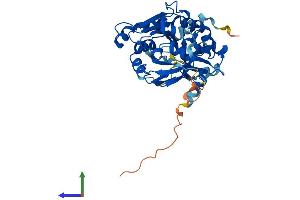 Protein Structure (PS) image for Arsenic (+3 Oxidation State) Methyltransferase (AS3MT) (AA 1-376) protein (His tag) (ABIN7560061)
