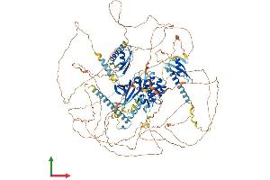 Protein Structure (PS) image for WNK Lysine Deficient Protein Kinase 4 (WNK4) (AA 1-1243) protein (His tag) (ABIN7556044)