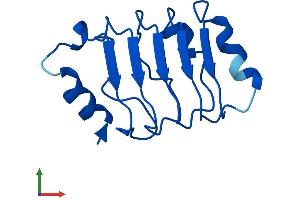 Protein Structure (PS) image for Acidic (Leucine-Rich) Nuclear phosphoprotein 32 Family, Member C (ANP32C) (AA 1-123) protein (His tag) (ABIN7557859)