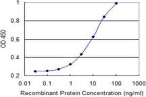 Detection limit for recombinant GST tagged HSPB6 is 0. (HSPB6 抗体  (AA 1-160))