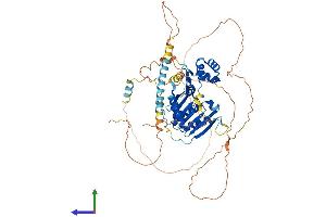 Protein Structure (PS) image for Family with Sequence Similarity 83, Member D (FAM83D) (AA 1-585) protein (His tag) (ABIN7561087)
