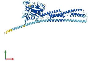 Protein Structure (PS) image for Guanylate Binding Protein 3 (GBP3) (AA 1-595) protein (His tag) (ABIN7547866)