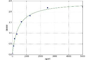 A typical standard curve (Angiopoietin 2 ELISA 试剂盒)