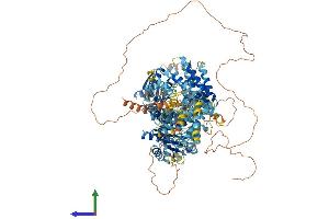 AlphaFold protein structure predicition of Human Recombinant TTC41P Protein, UniprotID Q6P2S7
