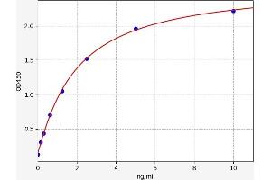 Typical standard curve (KRT20 ELISA 试剂盒)