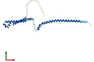 Protein Structure (PS) image for Polyamine Modulated Factor 1 (PMF1) (AA 1-205) protein (His tag) (ABIN7550856)